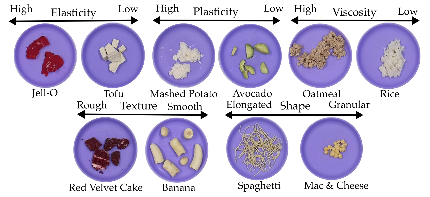 Food Taxonomy